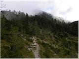 Planina Zajavornik - Viševnik